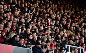 Bristol City V Rotherham United Prints: Passionate Bristol City Fans at Ashton Gate Stadium