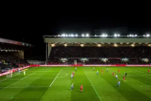 Remembrance Day Tribute: A Minute's Silence at Bristol City vs Brighton & Hove Albion (November 5, 2016)