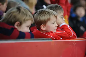 Rivalry at Ashton Gate: Bristol City vs Preston North End Football Showdown (November 2014)