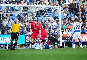 The Rivalry Roars: Reading vs. Bristol City - Season 08-09 Football Match