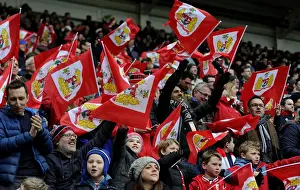 Bristol City V Bolton Wanderers Prints: Sea of Supporters: Bristol City vs Bolton Wanderers at Ashton Gate, 2016