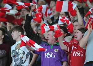 Sea of Supporters: Bristol City vs Coventry City, Ashton Gate, 2015 - Football Match Fans