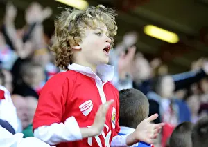 Sea of Supporters: Bristol City vs Coventry City at Ashton Gate, 2015