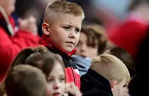 Sea of Supporters: Bristol City vs Rotherham United at Ashton Gate, 2017