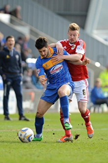 Shrewsbury Town v Bristol City 080314 Shrewsbury Town v Bristol City 080314