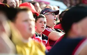 Sky Bet Championship Showdown: A Battle at Ashton Gate - Bristol City vs. Wolverhampton Wanderers (April 2017)