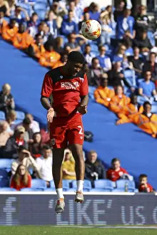Sky Bet Championship Showdown: Brighton and Hove Albion vs. Bristol City - Gear Up at Amex Stadium