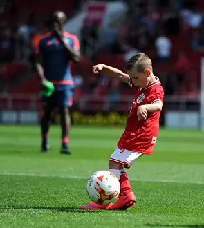 Bristol City V Brentford Prints: Sky Bet Championship Showdown: Bristol City Mascot at Ashton Gate