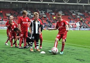 Images Dated 20th August 2016: Sky Bet Championship Showdown: Bristol City vs Newcastle United at Ashton Gate (August 2016)
