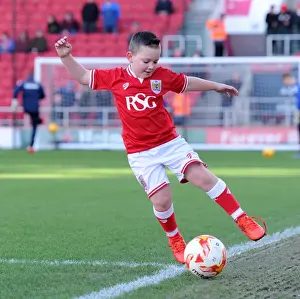 Bristol City V Birmingham City Prints: Sky Bet Championship Showdown: Bristol City vs Birmingham City at Ashton Gate Stadium (January 2016)