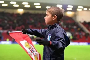 Bristol City V Fulham Prints: Sky Bet Championship Showdown: Bristol City vs Fulham at Ashton Gate - February 2017