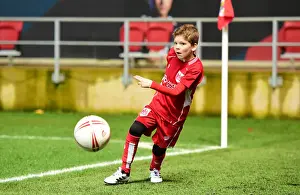 Sky Bet Championship Showdown: Bristol City vs Fulham at Ashton Gate (Februder 2017)