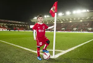 Sky Bet Championship Showdown: Bristol City vs Fulham at Ashton Gate (Februder 2017)
