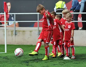 Bristol City V Newcastle United Prints: Sky Bet Championship Showdown: Bristol City vs Newcastle United at Ashton Gate (August 2016)
