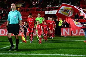 Sky Bet Championship Showdown: Titans Clash - Bristol City vs Brentford, December 13, 2016, Ashton Gate
