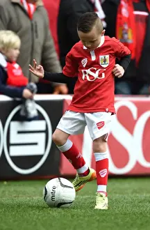 Bristol City V Rochdale Prints: Sky Bet League One Showdown: Bristol City vs Rochdale at Ashton Gate - 28 February 2015