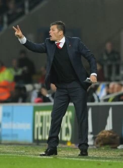 Images Dated 26th October 2015: Steve Cotterill Leads Bristol City at Cardiff City Stadium (October 2015)