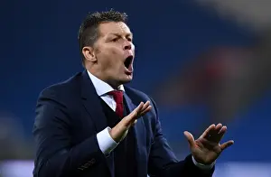 Cardiff City V Bristol City Prints: Steve Cotterill Leads Bristol City at Cardiff City Stadium, 26th October 2015