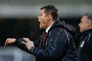 Peterborough V Bristol City Prints: Steve Cotterill Leads Bristol City at Peterborough United, 181114