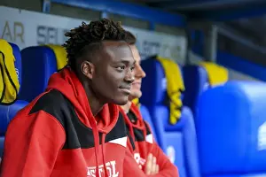 Reading V Bristol City Prints: Tammy Abraham in Action: Sky Bet Championship Showdown at Reading (November 2016)