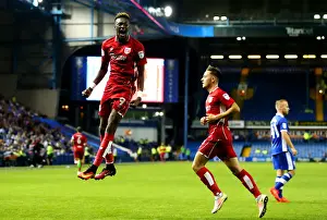 Hillsborough Prints: Tammy Abraham's Stunner: Bristol City's First Goal vs Sheffield Wednesday