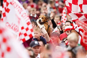 Images Dated 4th May 2015: Thousands Rejoice: A Sea of Celebrating Bristol City Football Club Fans and a Loyal Canine Companion