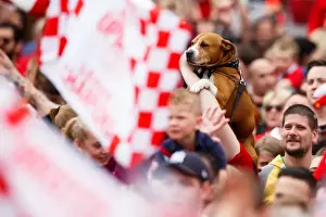 Champions Prints: Thousands Rejoice: A Sea of Celebration - Bristol City's Championship Promotion Parade with a Furry Friend