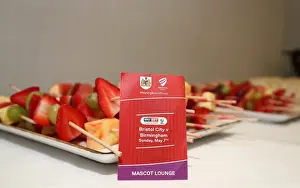Thrilling Championship Showdown: Mascots Face Off at Ashton Gate