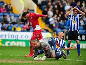 Framed Print : Thrilling Nicky Maynard Goal Celebration: Sheffield Wednesday vs. Bristol City, Championship 2010