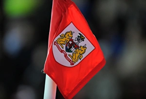 Bristol City V Brighton And Hove Albion Prints: Thrilling Sky Bet Championship Showdown: Bristol City vs Brighton & Hove Albion at Ashton Gate (November 2016)