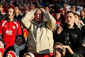 Triumphant Bristol City Fans Celebrate Johnstones Paint Trophy Victory at Wembley Stadium (2015)