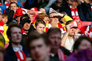 Triumphant Bristol City Fans Celebrate Johnstones Paint Trophy Victory at Wembley Stadium (2015)