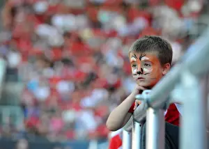 Bristol City V Wigan Athletic Prints: Young Bristol City Fan's Excitement at Ashton Gate during Bristol City vs Wigan Athletic Match